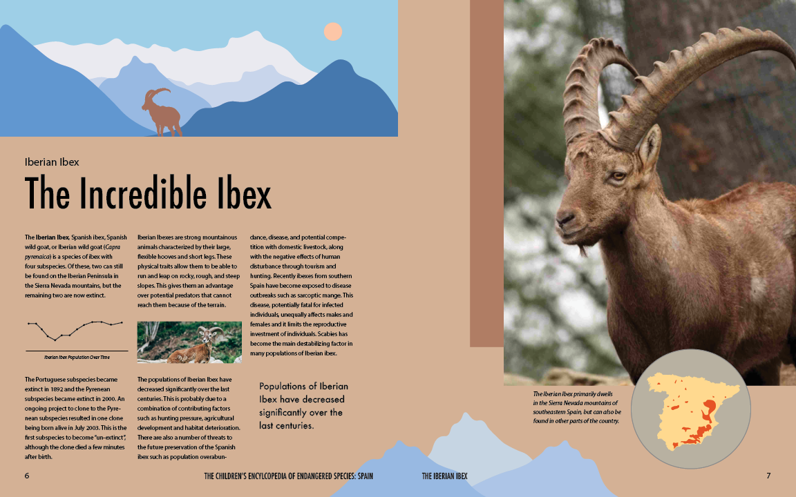 2 page spread about the Iberian Ibex